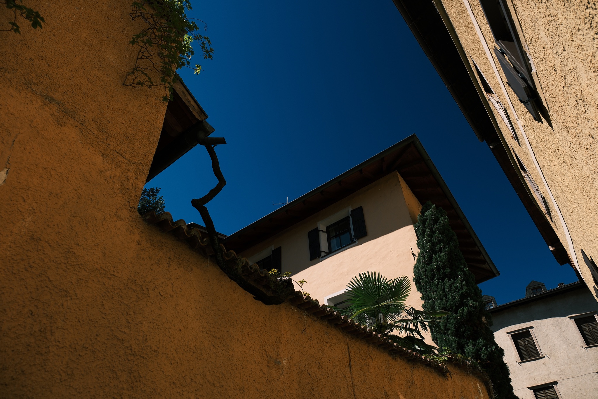 09 DSCF1069
